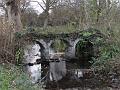 2011-1223-1140_Morden_Hall_Park_11C